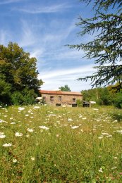 chambres d'htes de charme en Drome (Provence) 3 epis "Le Jas"  Eygaliers - pays de Buis